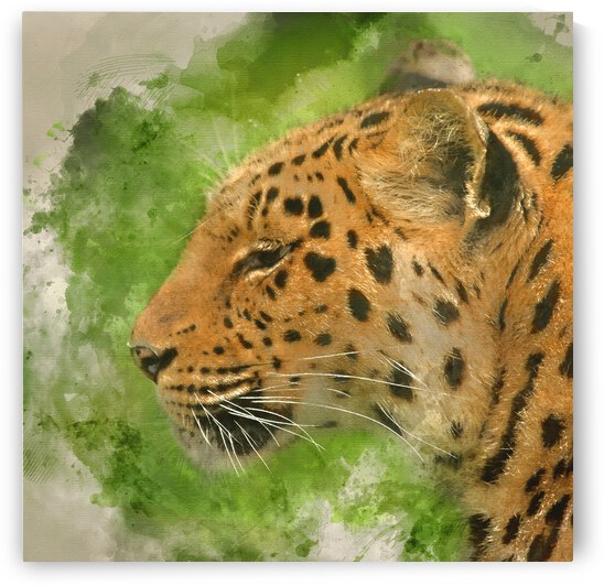 Digital watercolour painting of Beautiful close up portrait of J by Matthew Gibson