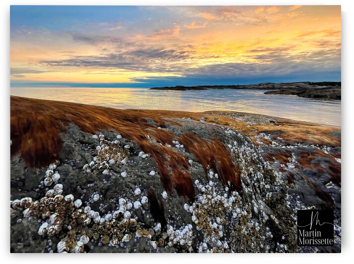 Collection Cote-Nord by Martin Morissette