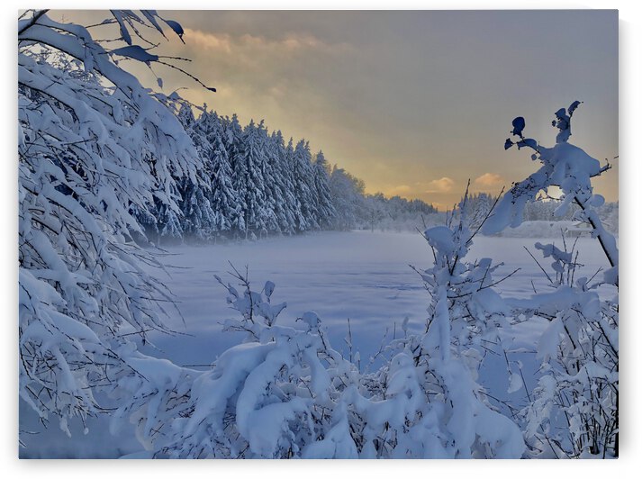 Winter Wonderland by Alberto Varela