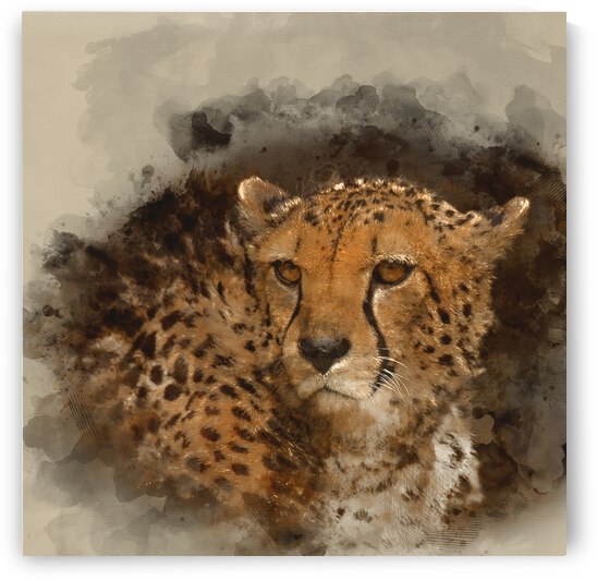 Digital watercolour painting of Beautiful close up portrait of C by Matthew Gibson