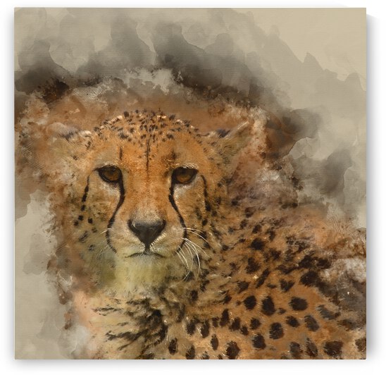 Digital watercolor painting of Beautiful close up portrait of Ch by Matthew Gibson