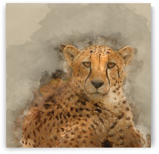 Digital watercolor painting of Beautiful close up portrait of Ch by Matthew Gibson