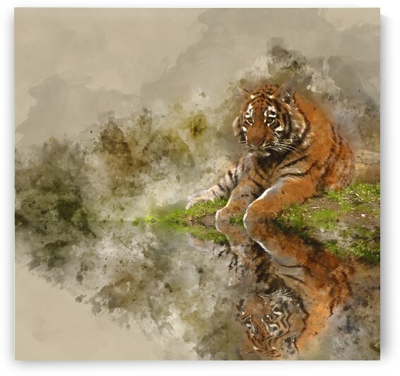 Digital watercolor painting of Beauttiful image of lovely tiger  by Matthew Gibson