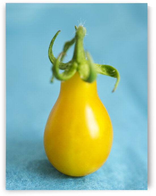 Yellow Pear Tomato with green stem by Iris H Richardson