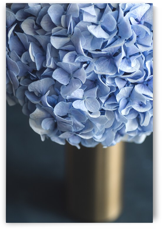 9840 Hydrangea Blue by Gowri Subramanya