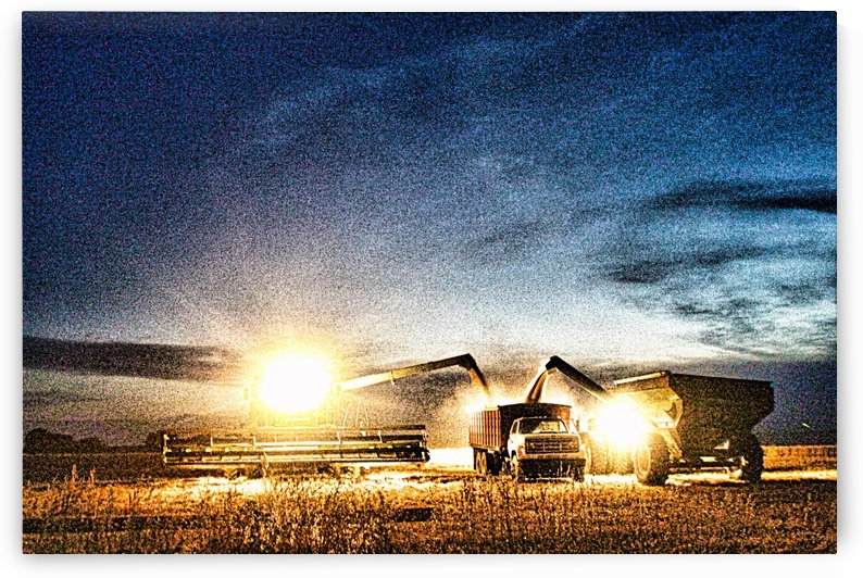 Creative Harvest Lights by Marty Kugler