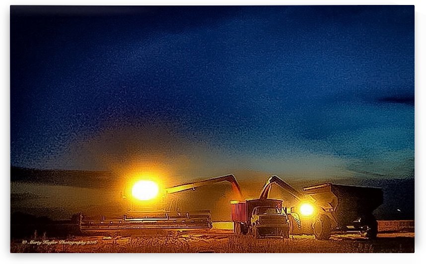 FRIDAY NIGHT HARVEST LIGHTS by Marty Kugler