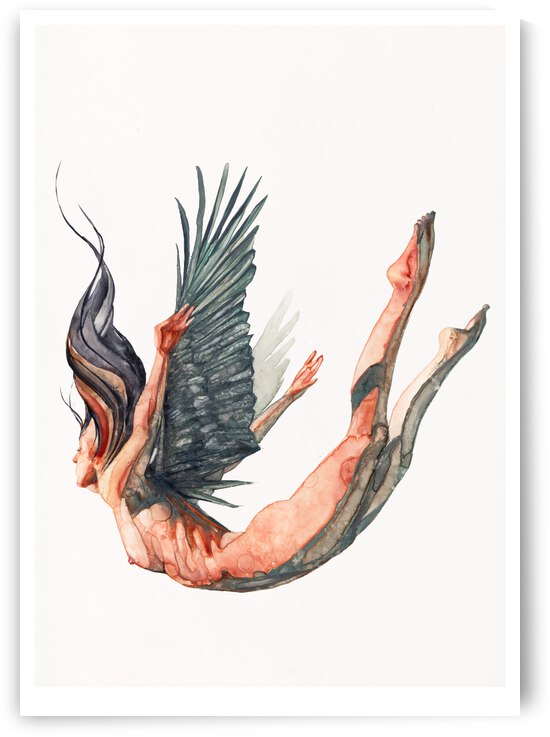 Free Fall by Dante Orpilla