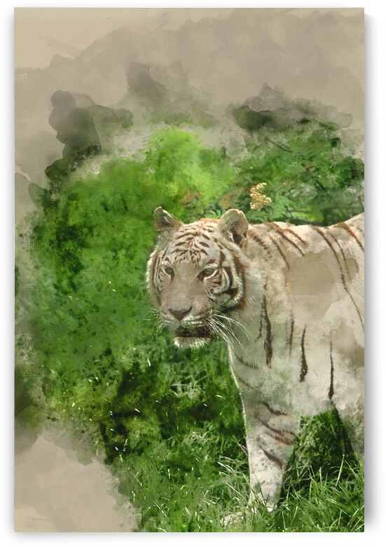 Digital watercolor painting of Beautiful portrait image of hybri by Matthew Gibson