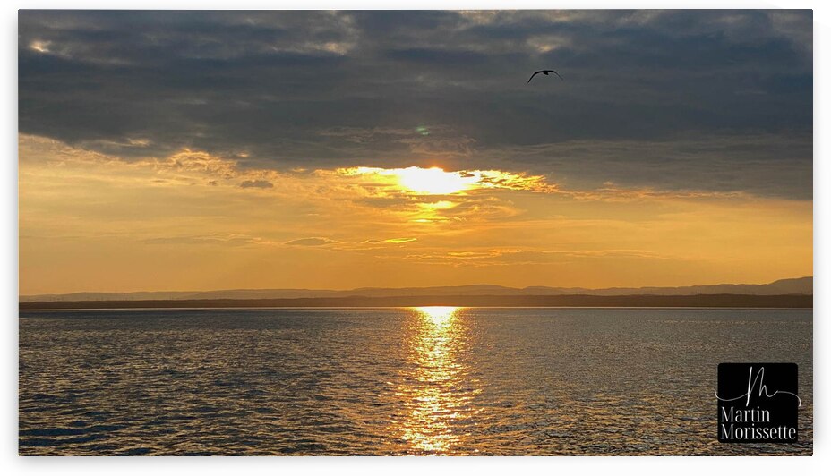 Collection Cote-Nord by Martin Morissette