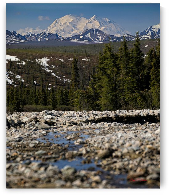 Denali from the North by Bruce Brown