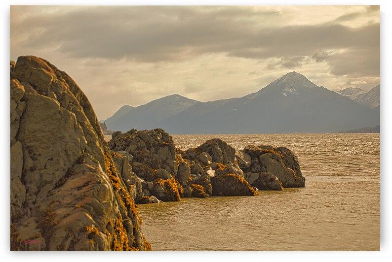 Turnagin Arm by Bruce Brown