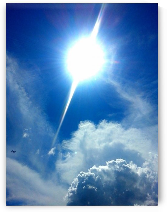 Bright & Sunny by Shutterbug