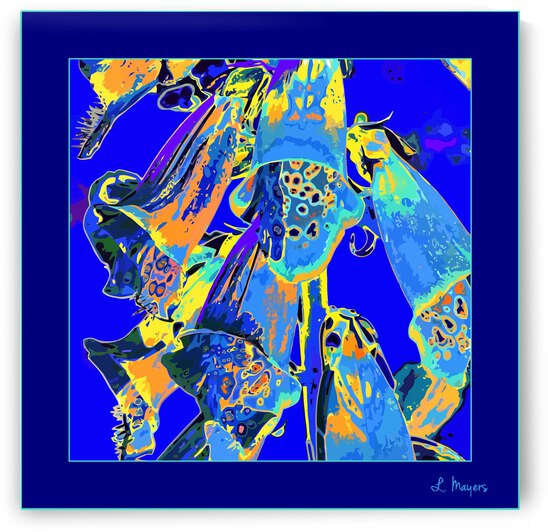 FOXGLOVES 001  by LES MAYERS 