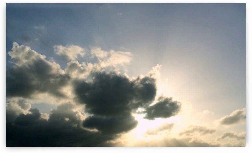 Sunny days by Shutterbug