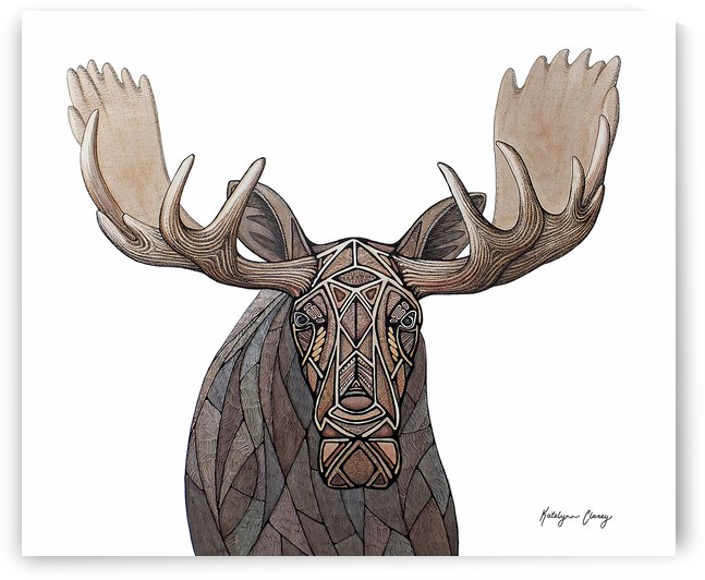 GeoMoose by Katelynn Clarey