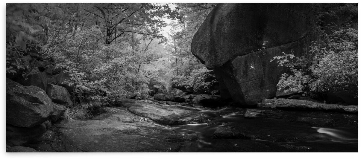 Long Shoals in Infrared by Matthew Allison