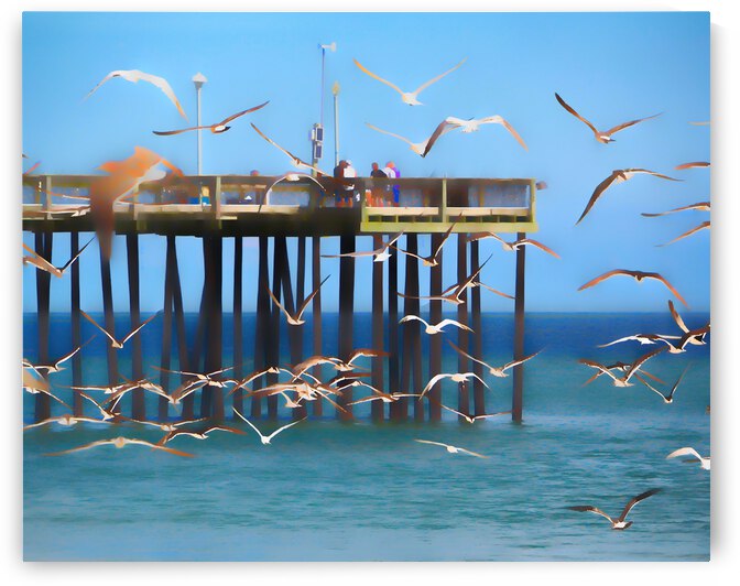 Seagulls Flocking the Ocean City Pier Abstract by Bill Swartwout Photography