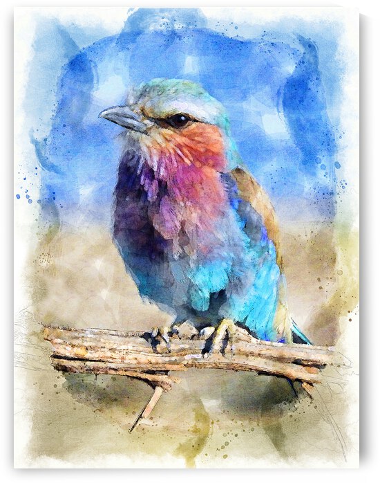 Watercolor Bird by Robert Ruggiero