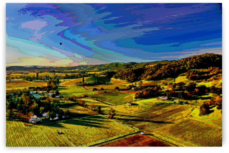  CALIFORNIA VINEYARDS 03 by LES MAYERS 