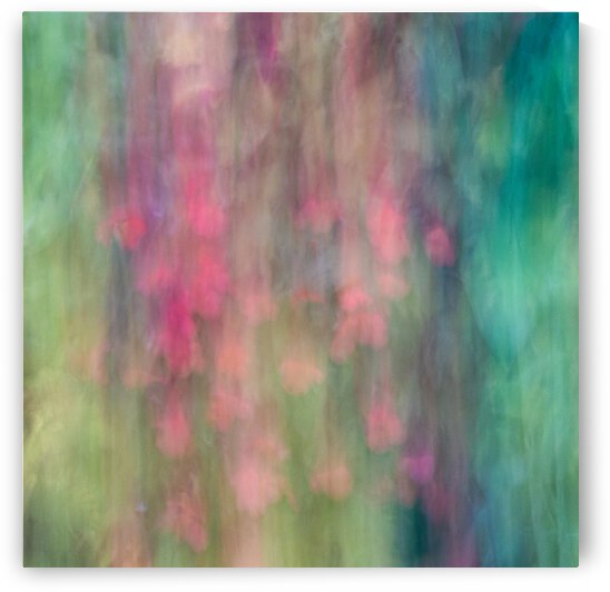 Salade de fleures by RMaltais Photographie fine art