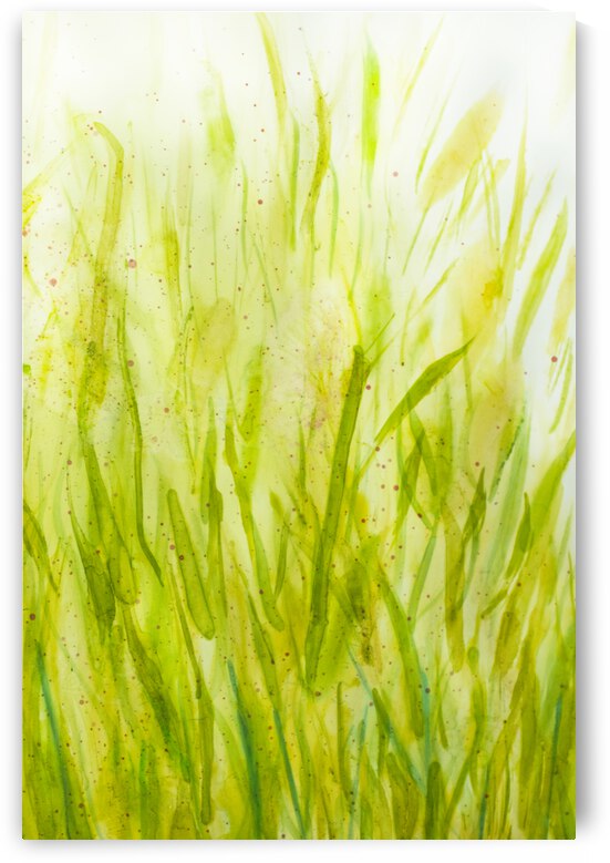 A walk in the meadow 1 by Iris H Richardson