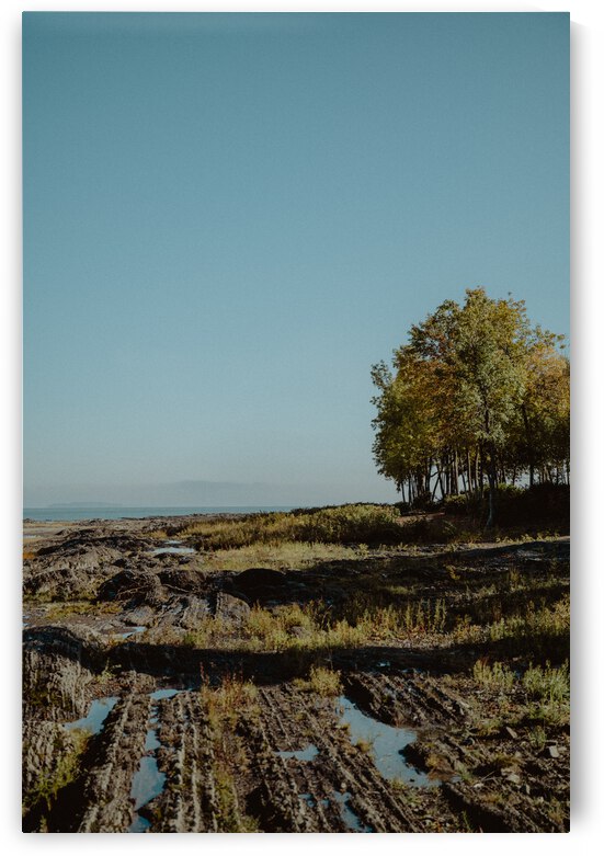 Le bord du fleuve by StephanieAllard