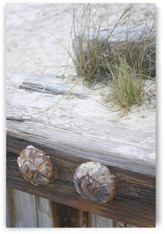 Beach Grass with Wood by Iris H Richardson