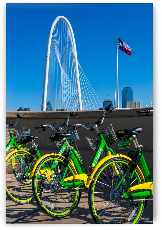 Pick Your Seat by Jennifer White