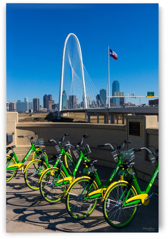 Bikes In Dallas by Jennifer White