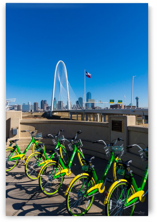 Bicycles And Dallas by Jennifer White