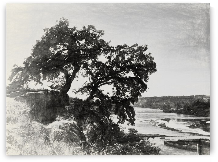 Dancing Trees by ArcheanArt