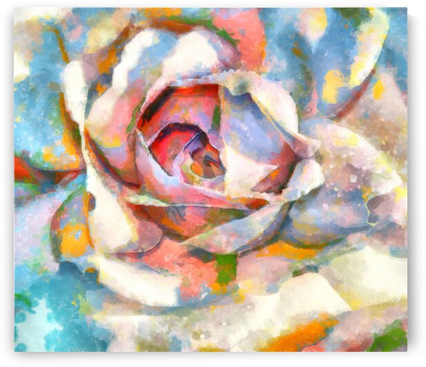 Close-Up Of Abstract Rose by Stefano Senise Photography