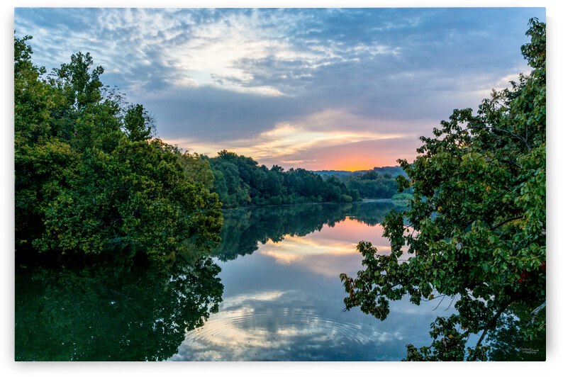 Lake Springfield Golden Hour Sunrise by Jennifer White