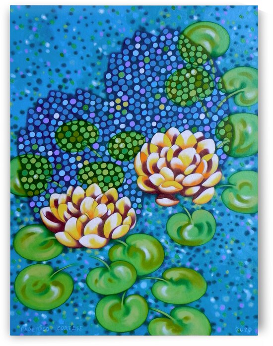 Waterlilies by federicocortese