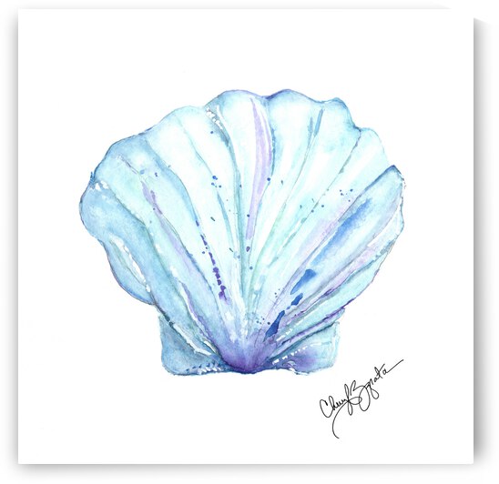Scallop Shell by Cheryl Zapata
