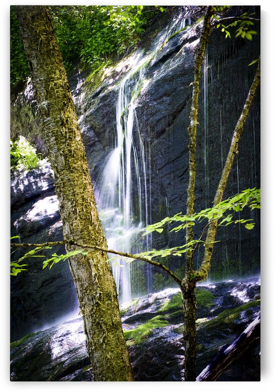 Bear Den Campground Waterfall VERTICAL by Kyle Arrowood