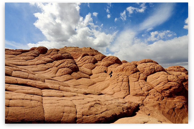 Africa by GAIA PHOTO CO