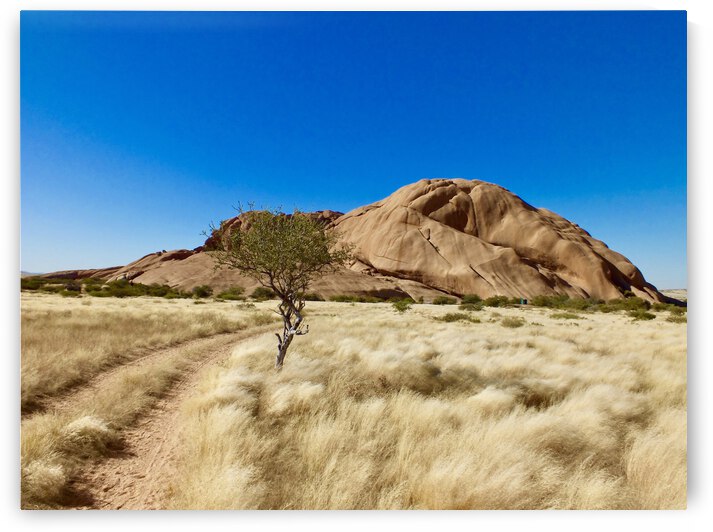 African Landscape by GAIA PHOTO CO