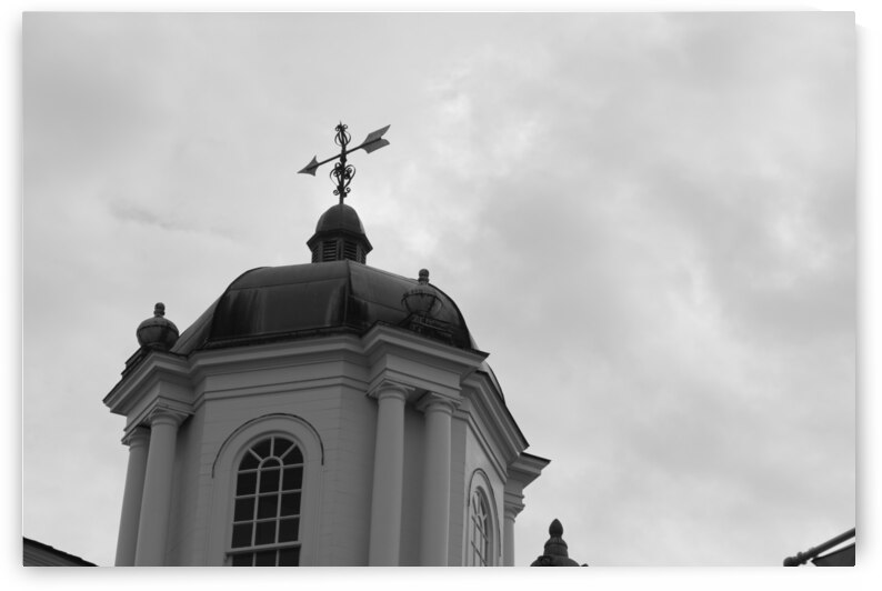 Choose Your Direction  by IsabelVictoria