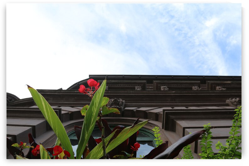 Corners by IsabelVictoria