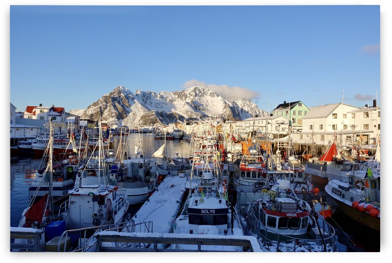 Frosted - Norway 2019 by GAIA PHOTO CO