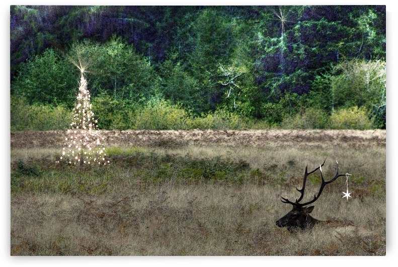 Christmas Elk by Barbara Linkevitch