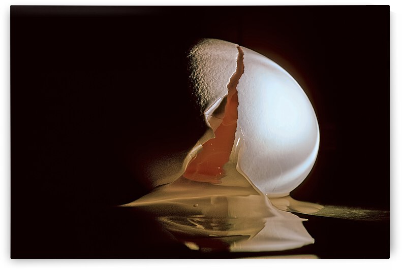 Cracked Egg by Barbara Linkevitch