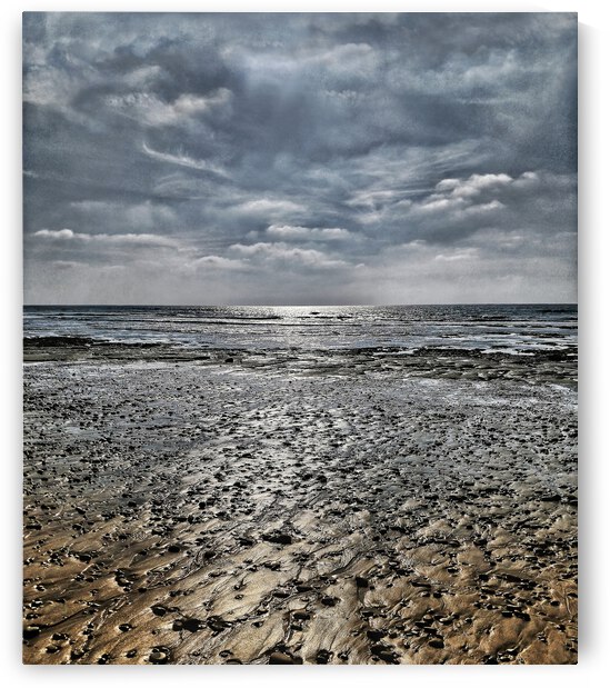 lowtide by Barbara Linkevitch