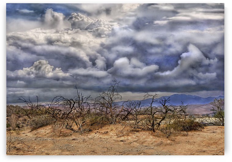 Mojave Storm by Barbara Linkevitch