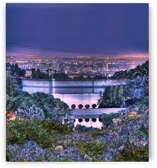 Hollywood Reservoir by Barbara Linkevitch