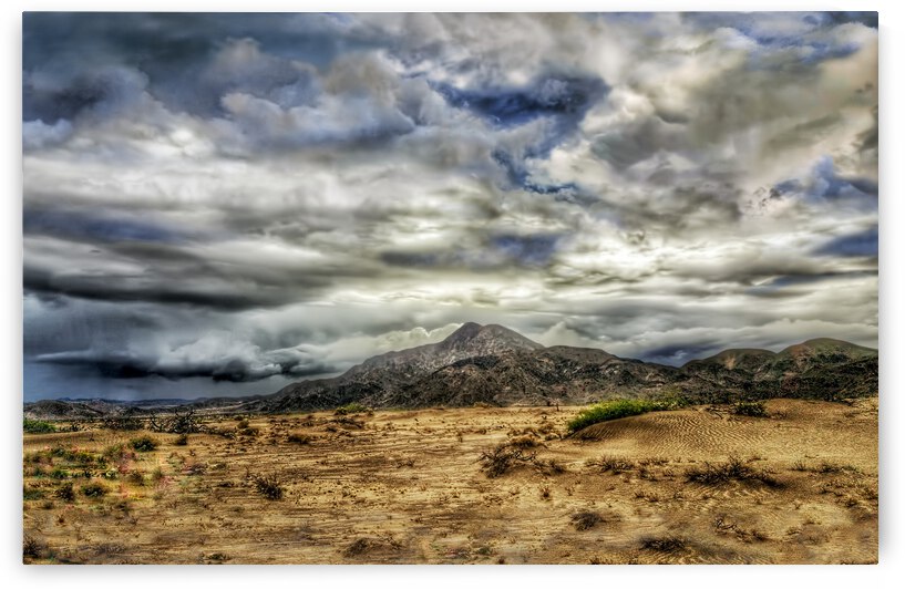 Mojave Storming by Barbara Linkevitch