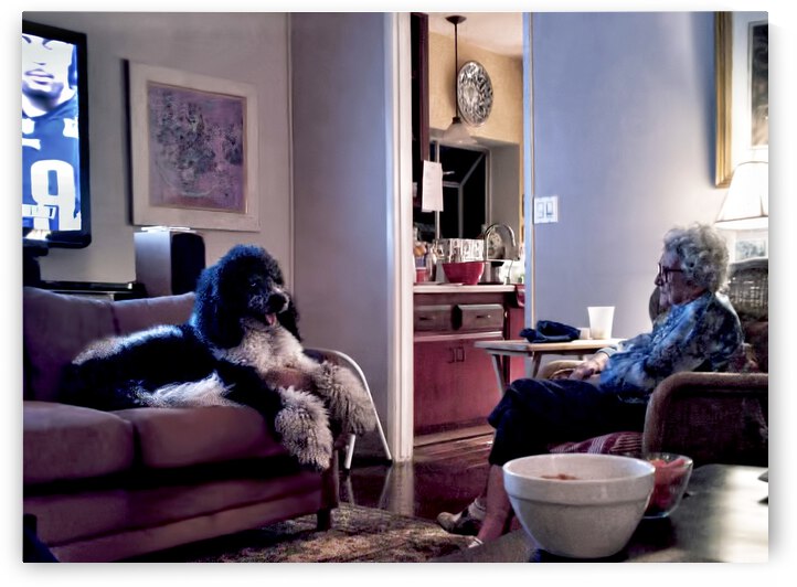 Super Bowl Sunday by Barbara Linkevitch