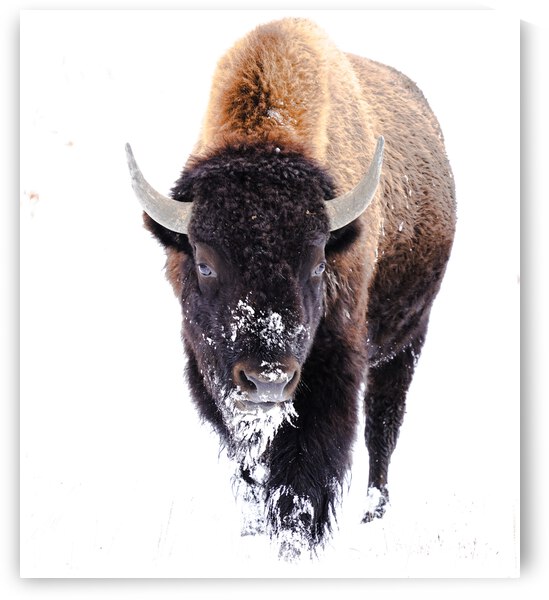 DSC04079 2 by jshansen